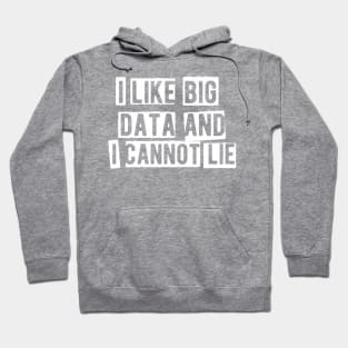 Data Analyst - I like big data and I cannot lie Hoodie